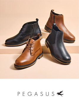 Pegasus Footwear